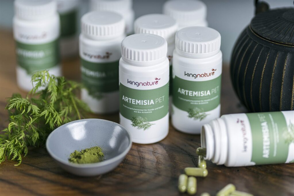 KINGNATURE Artemisia Pet caps 600 mg bio 72 pce