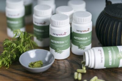 KINGNATURE Artemisia Pet caps 600 mg bio 72 pce
