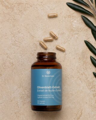 DR. NIEDERMAIER Olivenblattextrakt caps 120 pce
