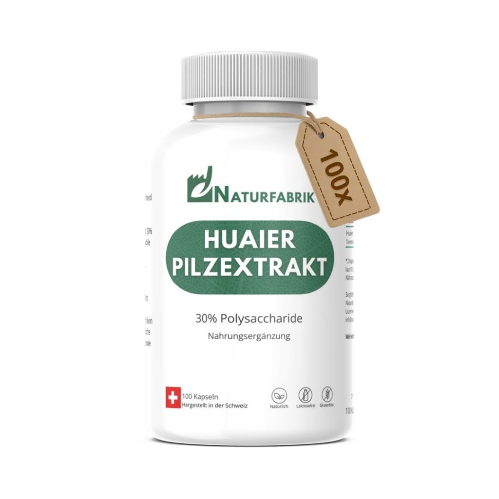 NATURFABRIK Huaier Extrakt caps bte 100 pce