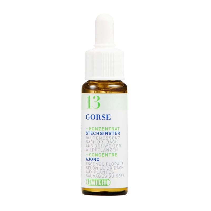 PHYTOMED Ess floral Bach no13 anjonc fl 10 ml