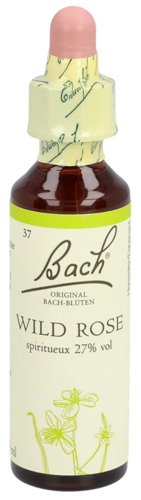 BACH fleurs de Bach original wild rose no37 20 ml