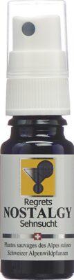 ODINELIXIR nostalgy ess flor prêt emp spr 10 ml