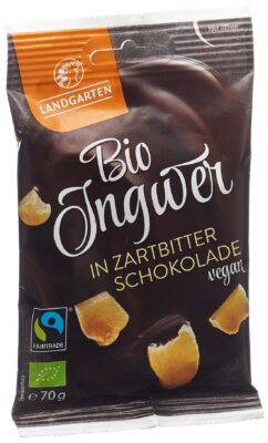 LANDGARTEN gingembre choco noir bio Fairtr 70 g