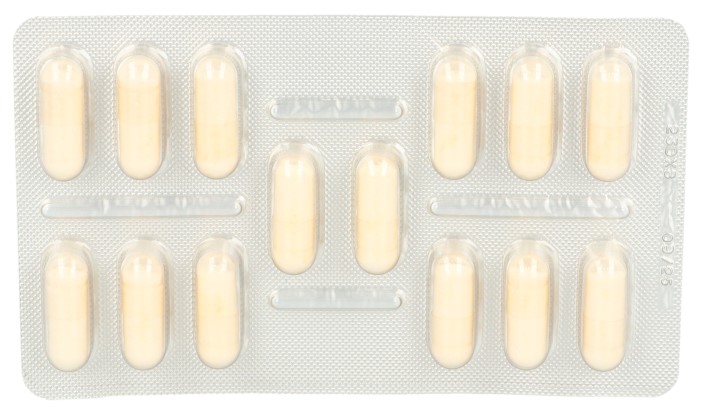 LACTIBIANE Voyage 20M caps 14 pce