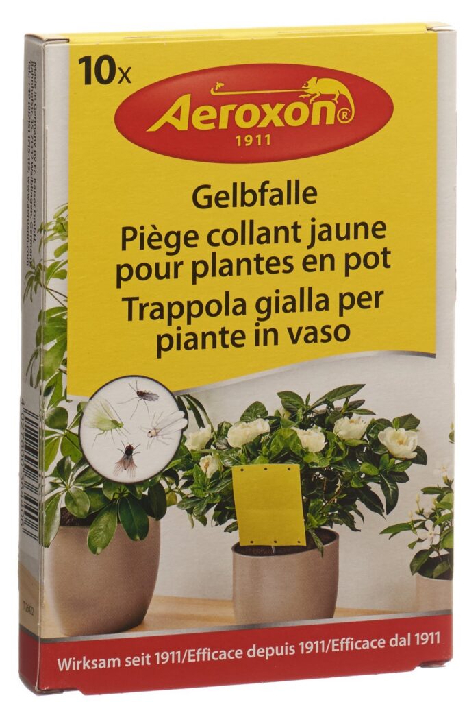 AEROXON Piège jaune collant 10 pce