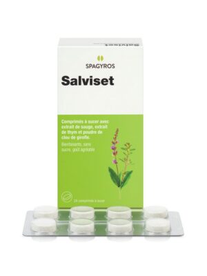 SALVISET pastilles 24 pce
