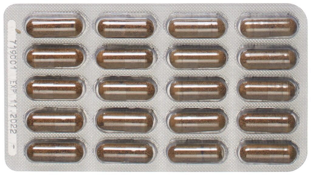 PADMA HEPATEN caps 60 pce