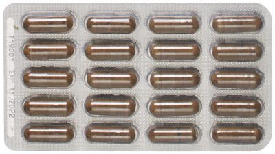 PADMA HEPATEN caps 60 pce