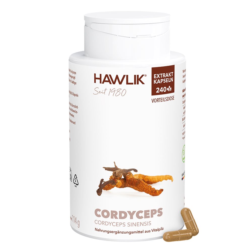 HAWLIK Cordyceps Extrait caps 240 pce