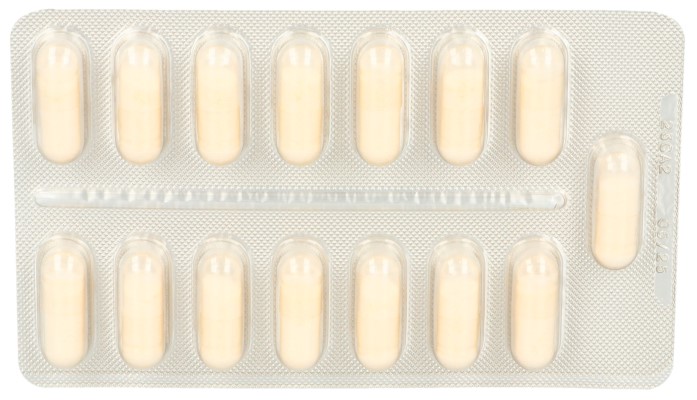 LACTIBIANE CN 10M gélules 30 pce