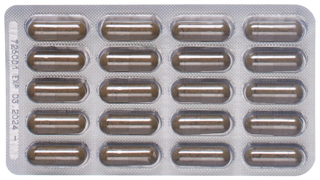 PADMA ACTIVE caps 100 pce