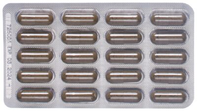 PADMA ACTIVE caps 100 pce