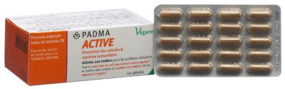 PADMA ACTIVE caps 100 pce