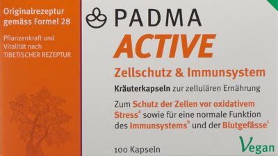 PADMA ACTIVE caps 100 pce