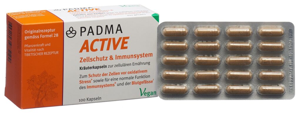 PADMA ACTIVE caps 100 pce