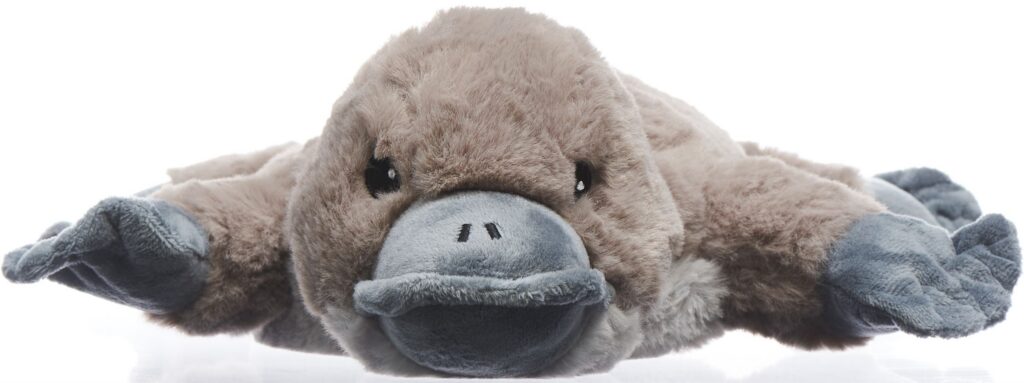 WARMIES peluche réchauffante ornithorynque