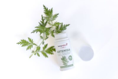KINGNATURE Artemisia Hydro gel dist 30 ml