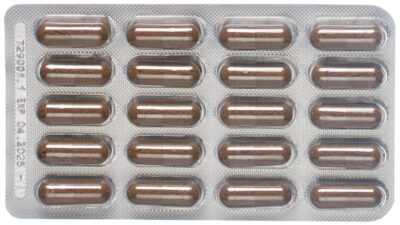 PADMA COGNIBEN caps 60 pce
