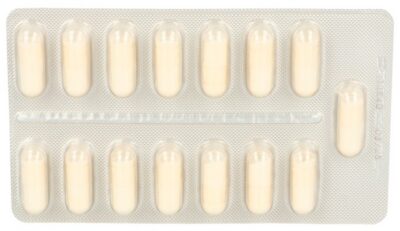 LACTIBIANE Tolérance 10M caps 90 pce