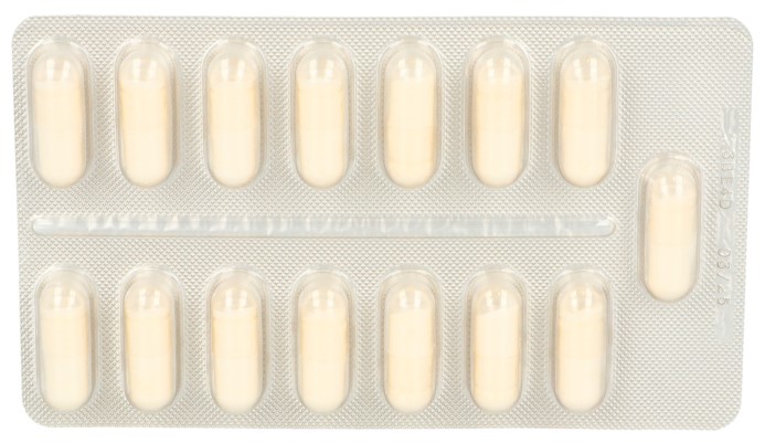 LACTIBIANE Tolérance 10M caps 90 pce