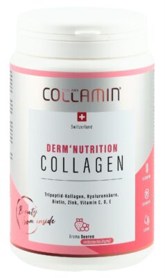 COLLAMIN Derm'Nutrition Collagen 28 port 480 g